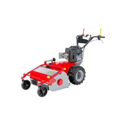 Mulcher MECCANICA BENASSI TR800 petrol engine B&S working width 75cm | NewgardenAgri.com