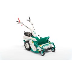 Selbstfahrendes Schlegelmähwerk OREC HR531GX mit HONDA 196cc Motor Arbeitsbreite 52 cm | NewgardenAgri.com