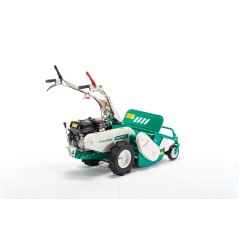 Selbstfahrendes Schlegelmähwerk OREC HR531GX mit HONDA 196cc Motor Arbeitsbreite 52 cm | NewgardenAgri.com