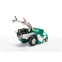Faucheuse à fléaux automotrice OREC HR662H avec moteur HONDA 270cc largeur de travail 65 cm | NewgardenAgri.com