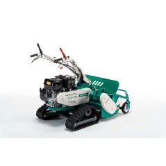 Self-propelled flail mower OREC HRC813 engine HONDA 389cc crawler working 80 cm | NewgardenAgri.com