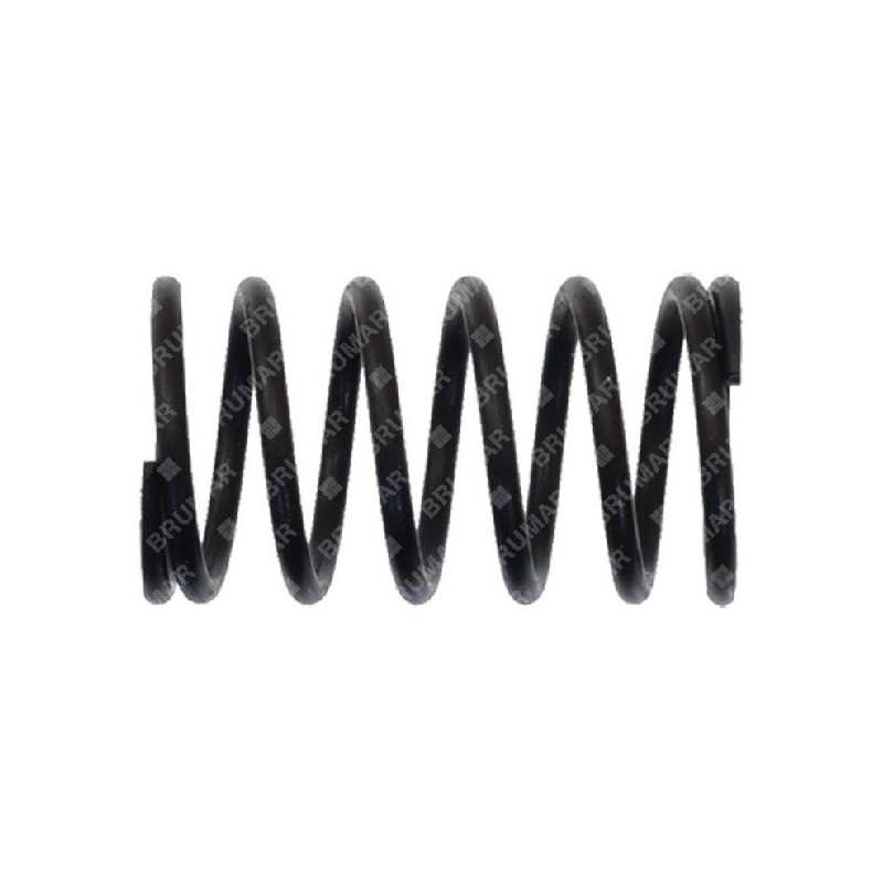 Ventilfeder für BLX-Motorhacken - 057332
