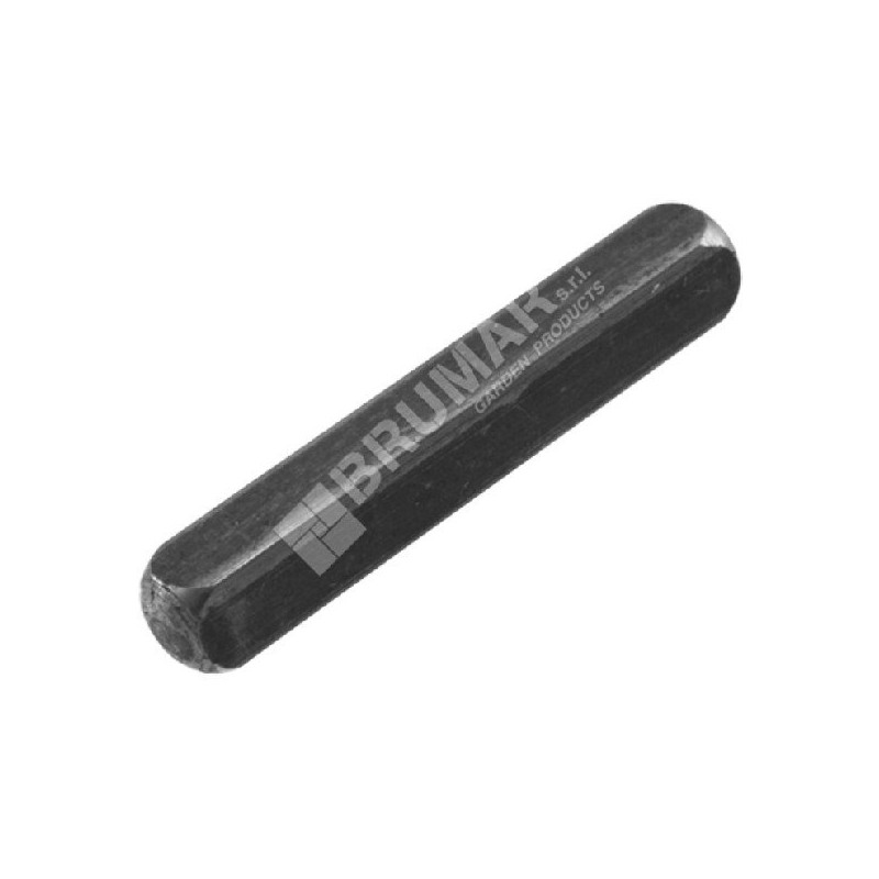 Chiavetta per motozappe DAYE - DAYEE Compatibile - 030930