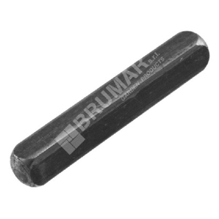 Schlüssel für DAYE-Motorhacken - DAYEE - 030930 | NewgardenAgri.com