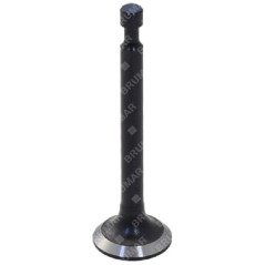 Ablassventil für BLX-Motorhacken – 057327 | NewgardenAgri.com