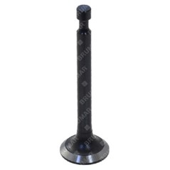 Intake valve for BLX tillers - 057326 | NewgardenAgri.com