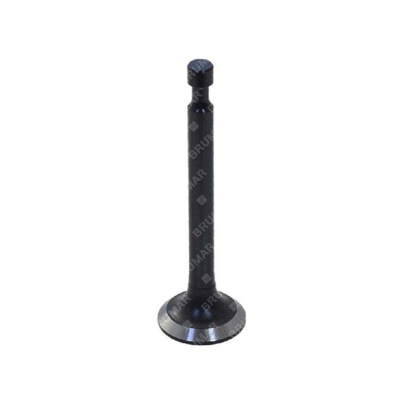 Intake valve for BLX tillers - 057326
