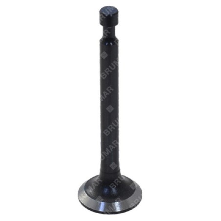 Intake valve for BLX tillers - 057326 | NewgardenAgri.com