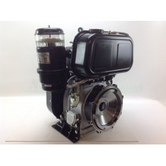Kompletter Dieselmotor ZANETTI S450B3-EX Motorgrubber konisch 30 Elektrostart | NewgardenAgri.com