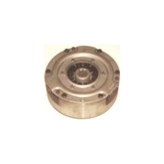 Clutch mechanism PI.VI. 56131 FOR FORT PP5 56131 627 | NewgardenAgri.com