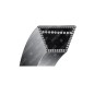 COURROIE trapézoïdale pour motofaucheuses SANDRIGARDEN - COMPATIBLE MAORI - 018523 COURROIE trapézoïdale pour motofaucheuses SANDRIGARDEN - COMPATIBLE MAORI - 018523
