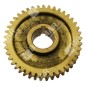 Groupe de transmission pour motofaucheuses COMPATIBLE ATTILA - 052032
