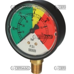 Isometric glycerine pressure gauge vertical connection ABS case scale 0-25 bar | NewgardenAgri.com