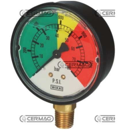 Isometric glycerine pressure gauge vertical connection ABS case scale 0-25 bar | NewgardenAgri.com