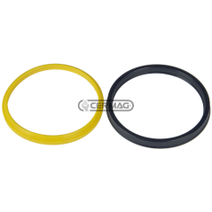Jeu de joints de vérin de levage COMPATIBLE - 84035 | NewgardenAgri.com