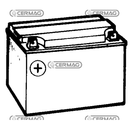 Batteria standard 12V - ENERGECO Capacità 24 Ah Polo positivo Sinistra COMPATIBILE - 35855 | NewgardenAgri.com
