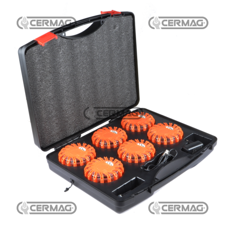Kit d'éclairage de secours LED avec boîtier COMPATIBLE - 95122 | NewgardenAgri.com