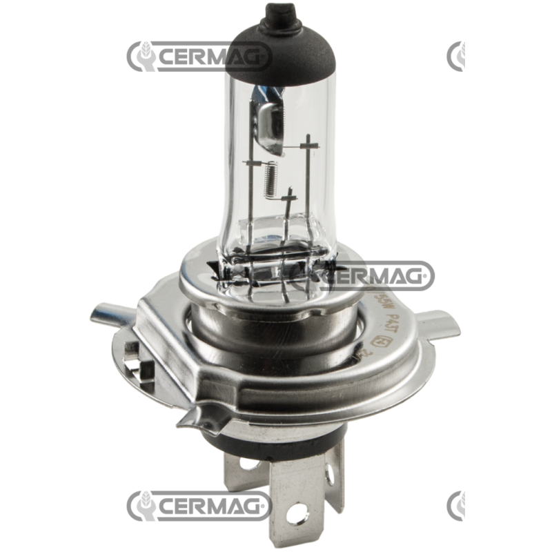 2-light bulb Voltage 12 V Power 55/60 W Connection P43T E13 COMPATIBLE - 35896