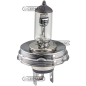 2-light bulb Voltage 12 V Power 55/60 W Connection P45T COMPATIBLE - 36132