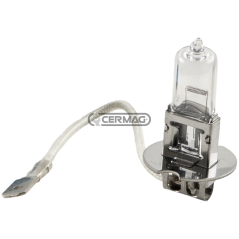 1 light bulb Voltage 12 V Power 55 W Connection PK22S E13 COMPATIBLE - 35160 | NewgardenAgri.com