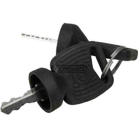 Coppia chiavi per blocchetto avviamento e luci COMPATIBILE - 36000 | NewgardenAgri.com