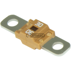 Fusible MIDIVAL Color Naranja Intensidad de corriente 30 A COMPATIBLE - 36963 | NewgardenAgri.com