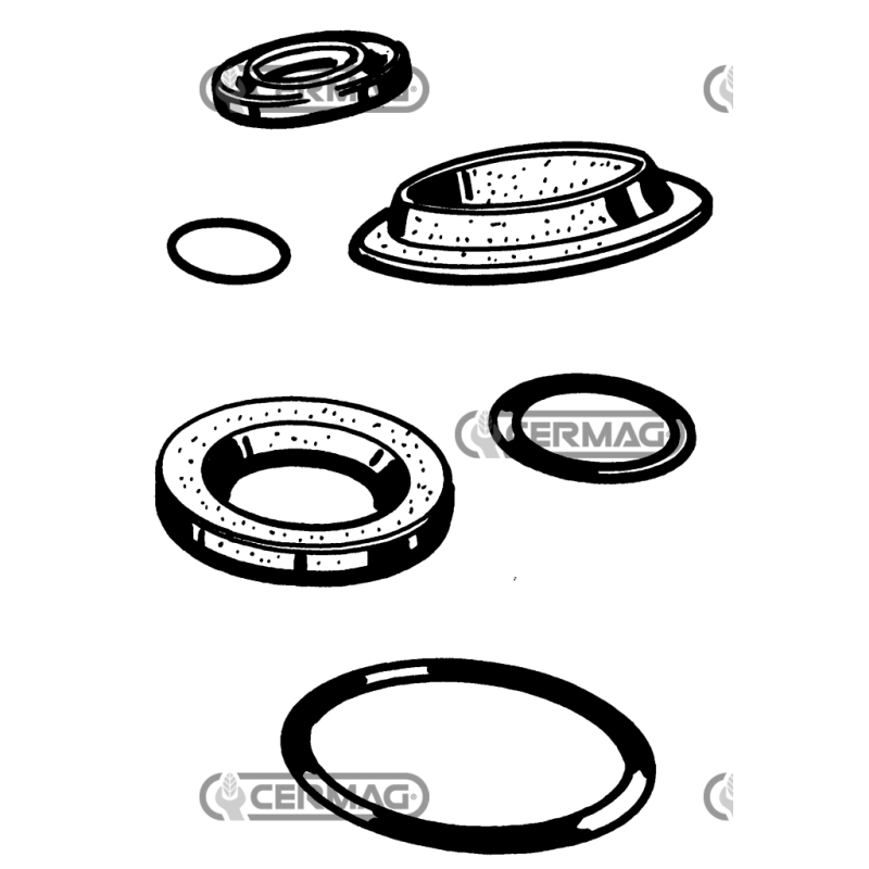 Oil seal ring Dimensions 114x135x13 mm Type B1BAVISLRSX7 COMPATIBLE - 11007