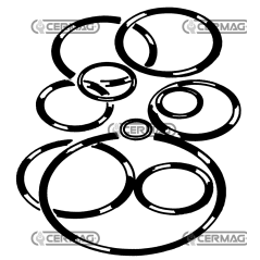 COMPATIBLE steering clutch servo control ring set - 10969 | NewgardenAgri.com