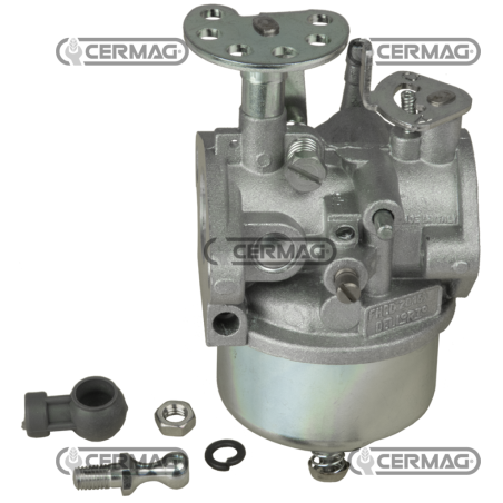 Original Dell'Orto carburettor for MINARELLI engine COMPATIBLE - 11731 | NewgardenAgri.com