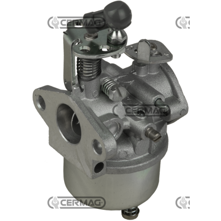 Original Dell'Orto carburetor for MINARELLI engine COMPATIBLE - 11791 | NewgardenAgri.com