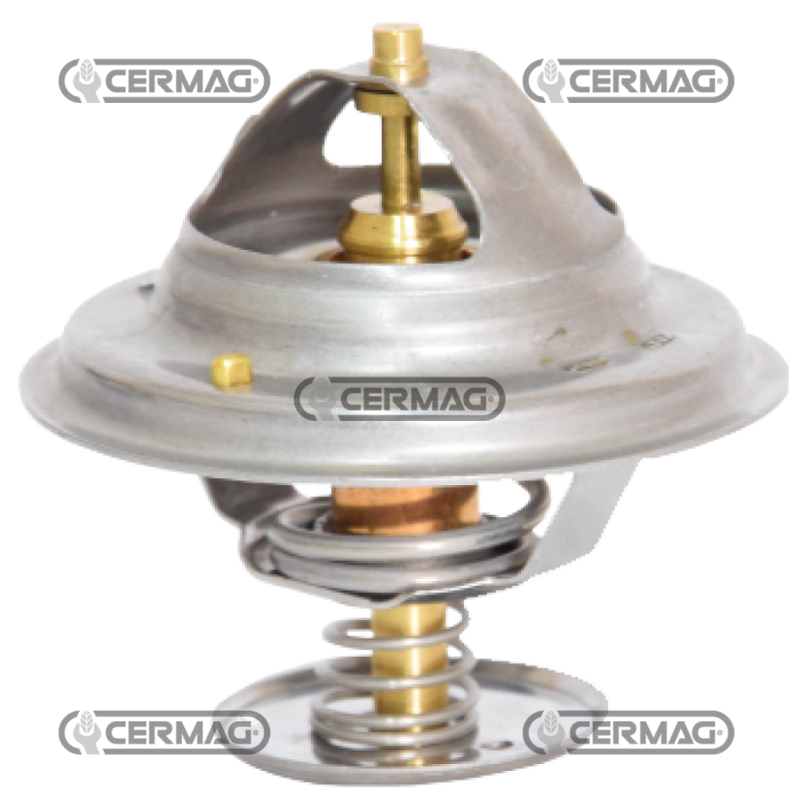 TERMOSTATI COMPATIBILE - 13407