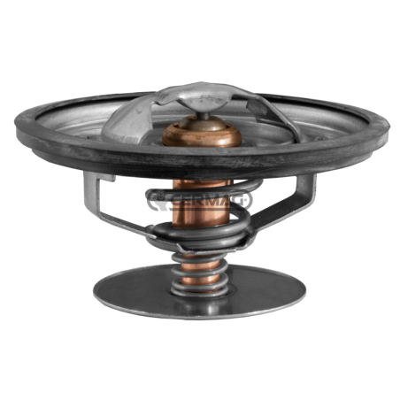 TERMOSTATOS COMPATIBLES - 12168 | NewgardenAgri.com