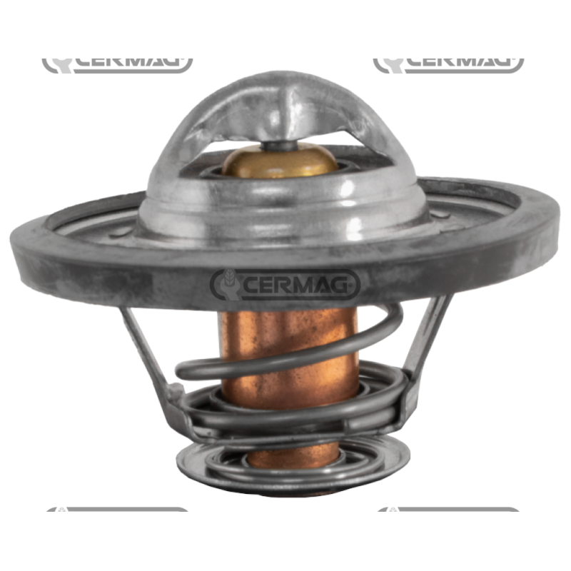 TERMOSTATOS COMPATIBLES - 12171