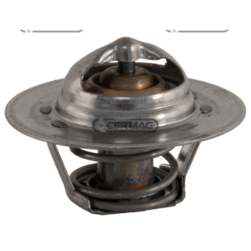 TERMOSTATOS COMPATIBLES - 12362