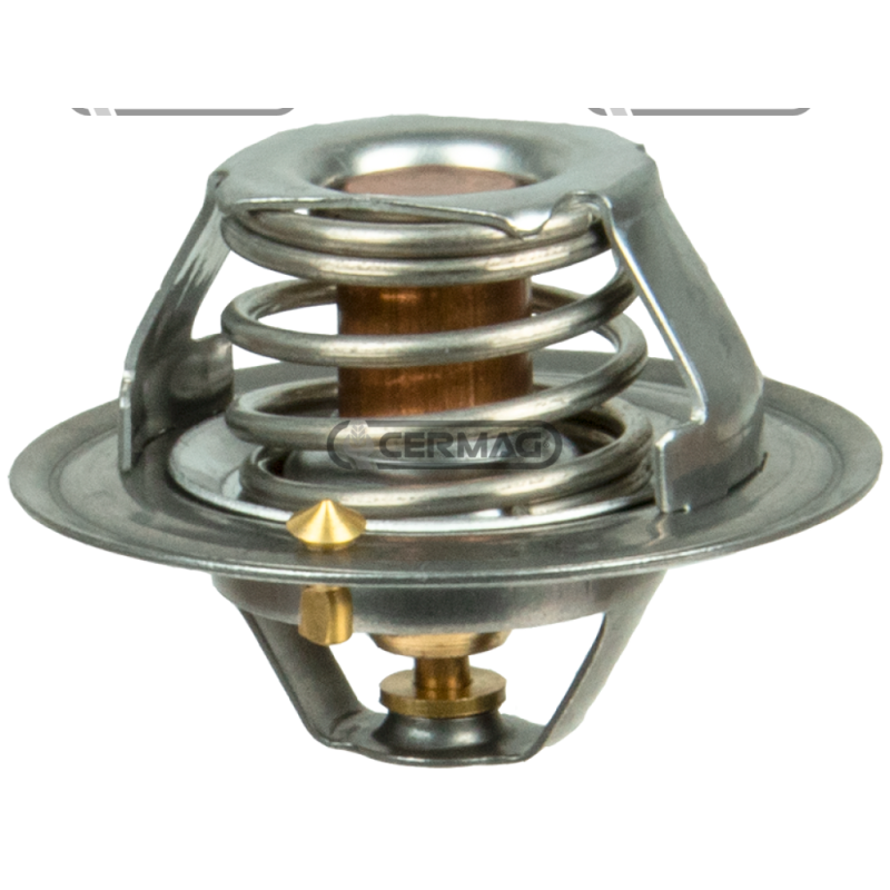 termostato FIAT 4138769 COMPATIBILE - 12173