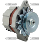 Data alternator 12 V - 55 A COMPATIBLE - 13359