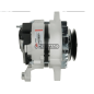Data alternator 12 V - 55 A COMPATIBLE - 98248