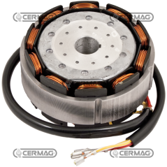COMPATIBLE LOMBARDINI RING ALTERNATOR - 12182 | NewgardenAgri.com