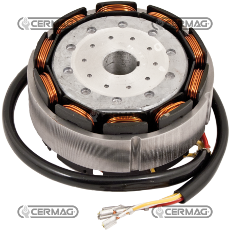 COMPATIBLE LOMBARDINI RING ALTERNATOR - 12182 | NewgardenAgri.com