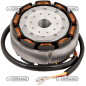 ALTERNATORE AD ANELLO LOMBARDINI COMPATIBILE - 12182
