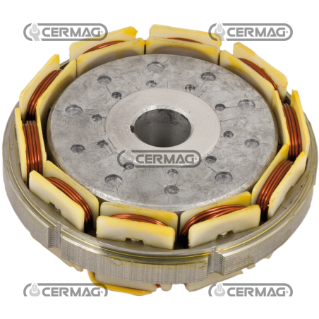 COMPATIBLE LOMBARDINI RING ALTERNATOR - 10681 | NewgardenAgri.com