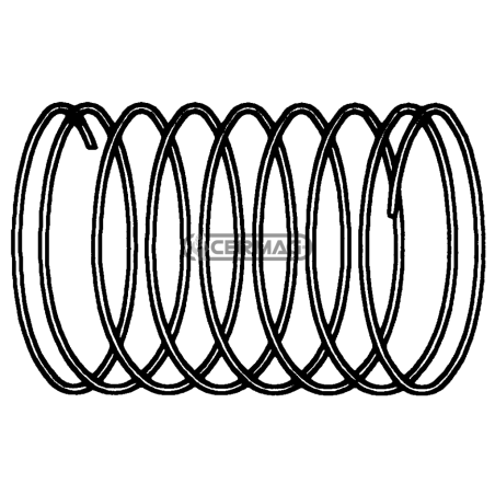 MUELLE DE VÁLVULA COMPATIBLE - 11832 | NewgardenAgri.com
