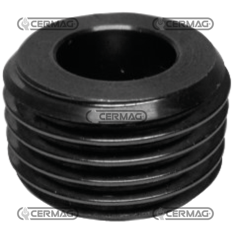 Vis sans fin - COMPATIBLE ECHO - 12961