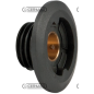 Vis sans fin Z.2 - COMPATIBLE ZENOAH - 12879