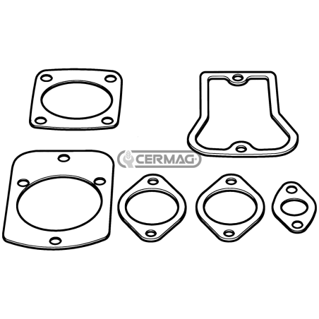 VARIOUS SEALS FOR COMPATIBLE LOMBARDINI ENGINES - 11707 | NewgardenAgri.com