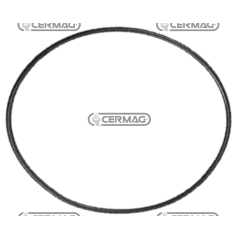 O-Ring 37,77x2,62 für Pumpe 904028 - 904169 KOMPATIBEL - 909338 | NewgardenAgri.com