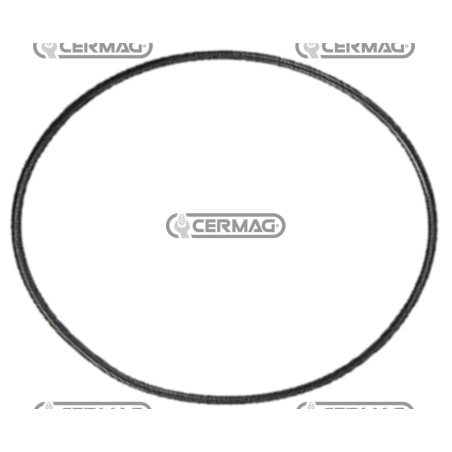 O-Ring 37,77x2,62 für Pumpe 904028 - 904169 KOMPATIBEL - 909338 | NewgardenAgri.com