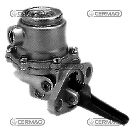 Pompe à essence COMPATIBLE - 12414 | NewgardenAgri.com