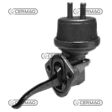 Pompe à essence COMPATIBLE - 12426 | NewgardenAgri.com