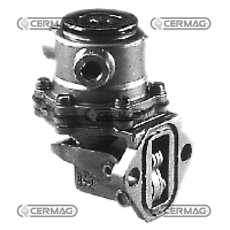POMPE D'ALIMENTATION NAPHTA COMPATIBLE POUR LOMBARDINI - 12186 | NewgardenAgri.com